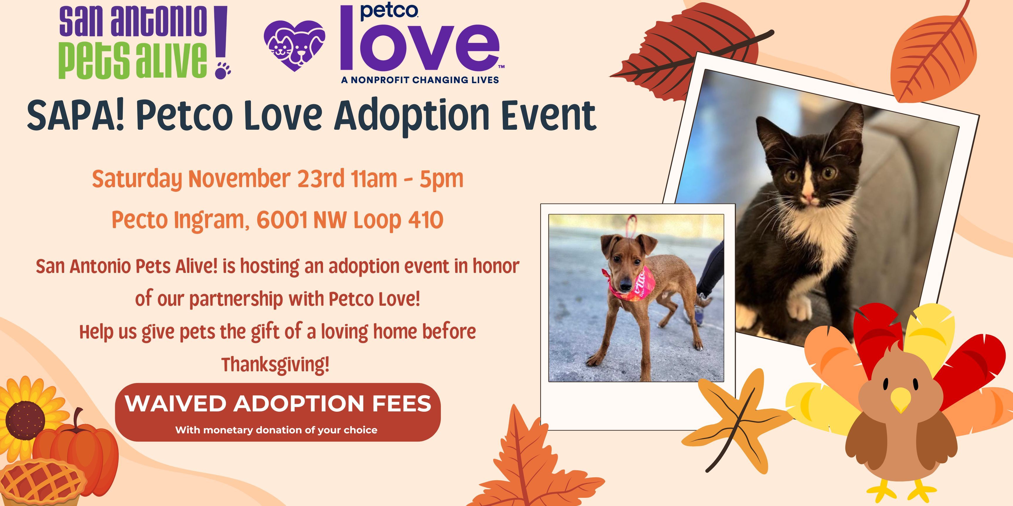 SAPA! Petco Love Adoption Event - Thanksgiving Special! Waived Adoption Fees!